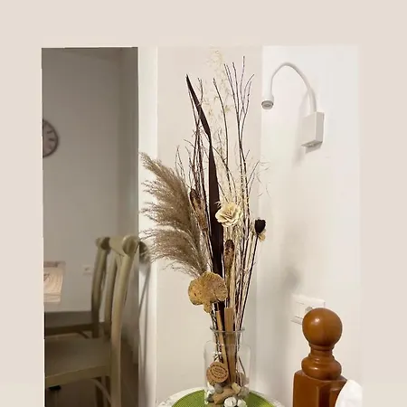 Mema S House Guests Apartamento